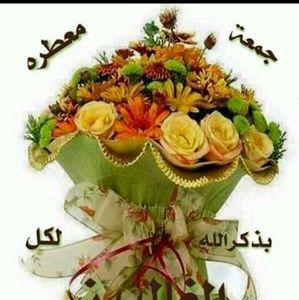 Meet your Posher, Nuredin